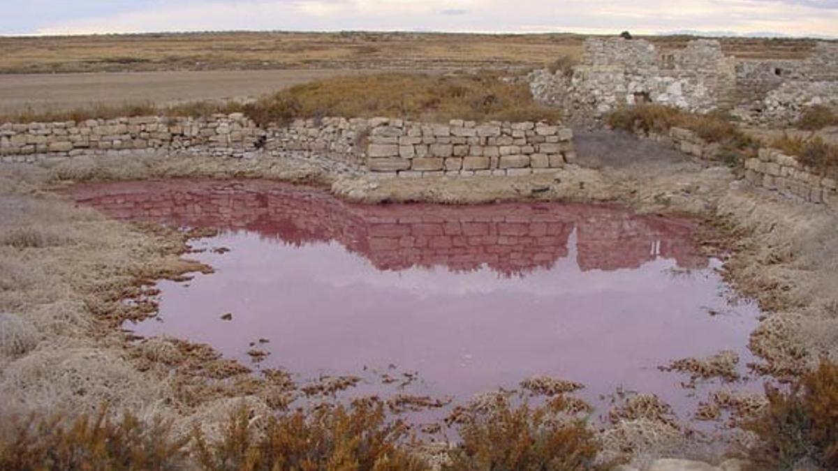 Lagunas salinas de los Monegros.