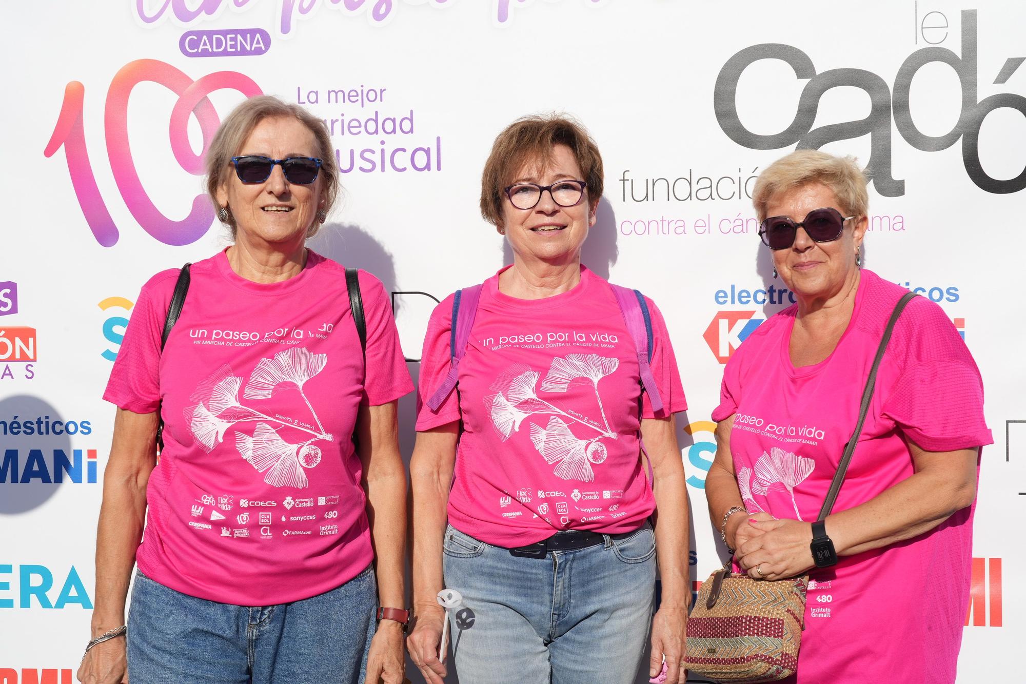 Búscate en la Marcha Contra el Cáncer de Mama de Castelló