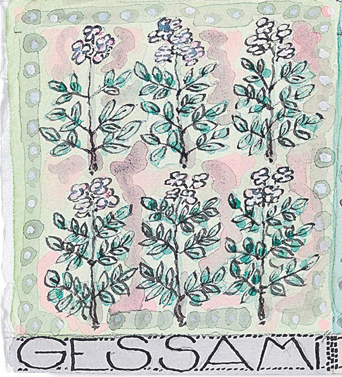 Il·lustració del gessamí