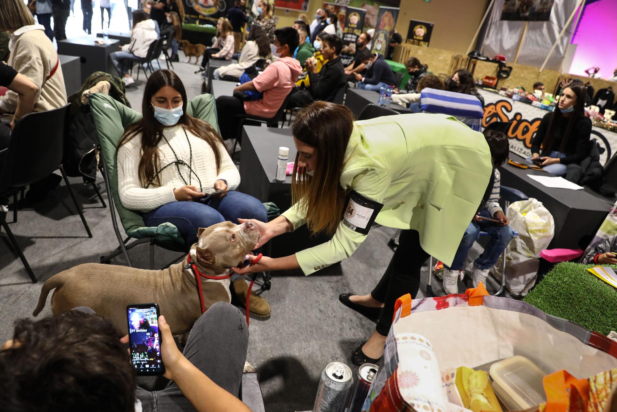 El recinto ferial acoge una nueva edición de Espacio Mascotas