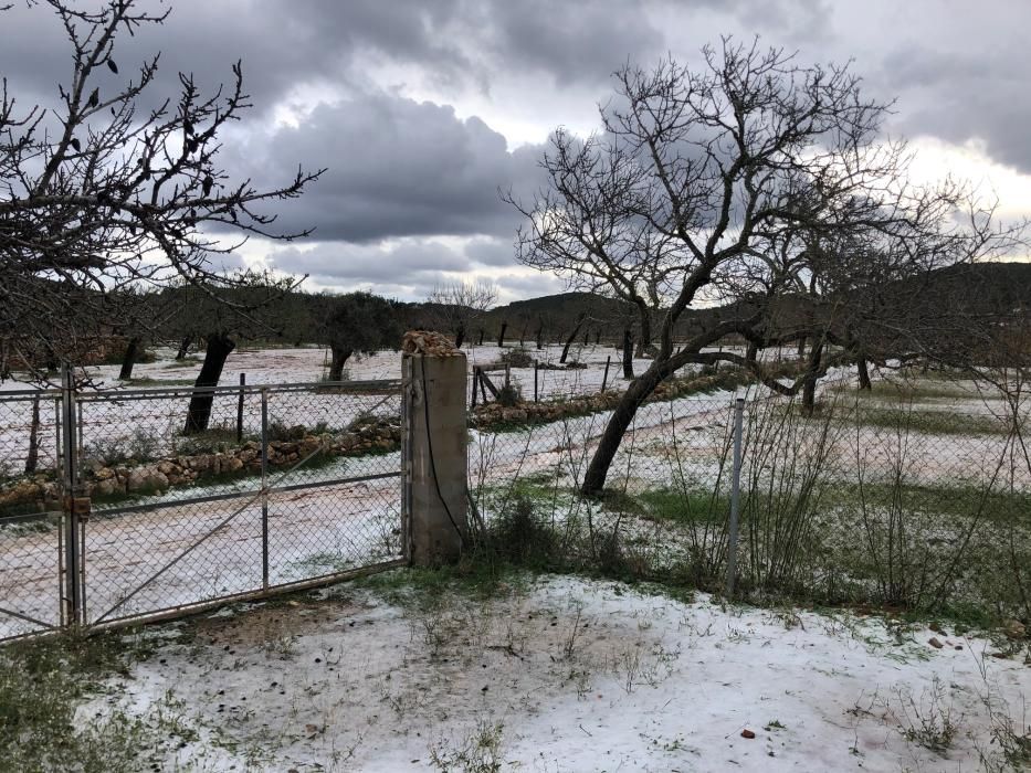 El Pla de Corona en Ibiza amanece con una capa blanca de granizo