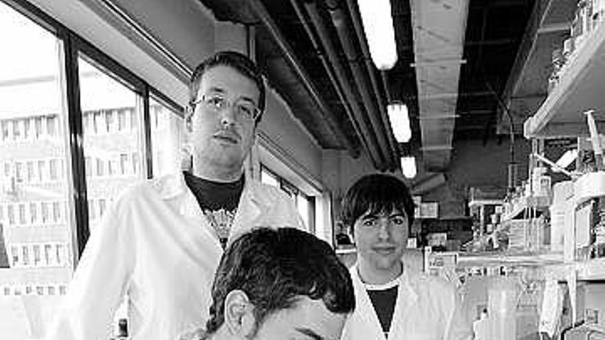 Alejandro Piñeiro (sentado), Fernando García Osorio (de pie, a la izquierda) y Álvaro Fernández, ayer, en el laboratorio.