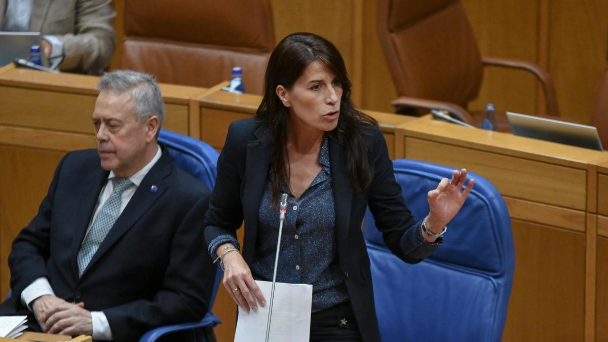 Martínez Allegue, este miércoles, en el pleno del Parlamento gallego