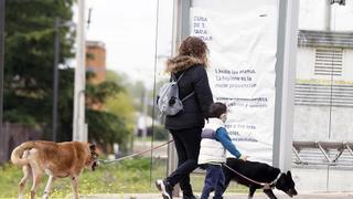 La custodia compartida se dobla en la última década en España