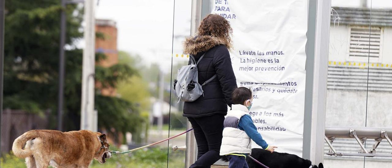 En 2010, la custodia se concedió a la madre en el 83% de las rupturas matrimoniales mientras que en 2021, el porcentaje bajó al 53%.