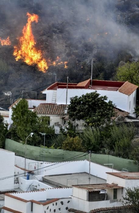 TEJEDA. Incendio en La Cumbre, El fuego frente a las casas del  barrio de Majuelo.  | 11/08/2019 | Fotógrafo: José Pérez Curbelo