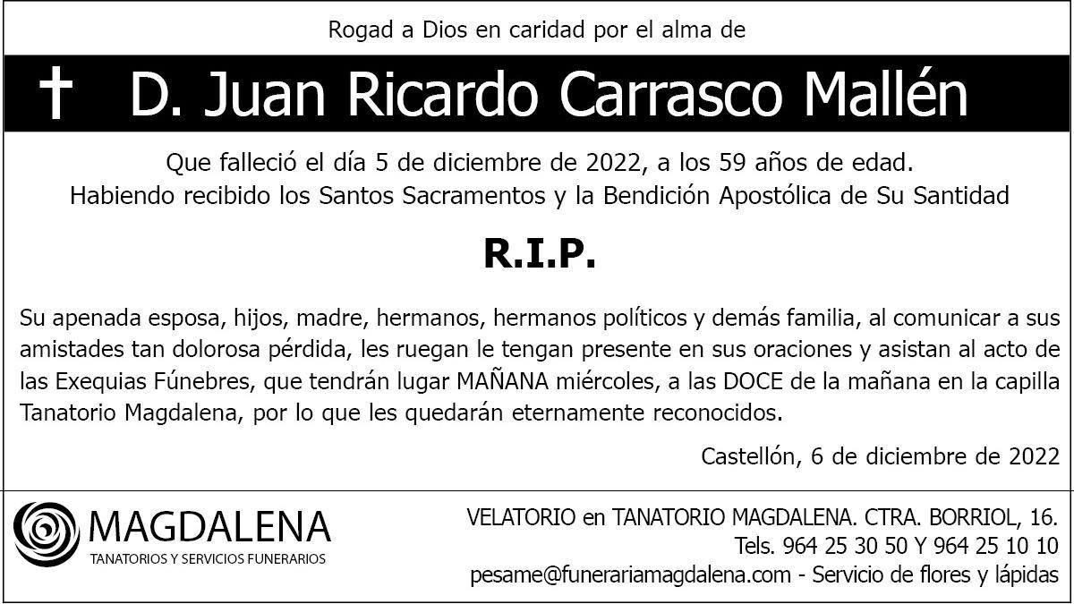 D. Juan Ricardo Carrasco Mallén