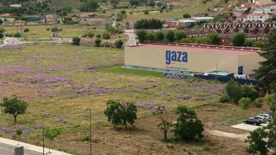 Fábrica de Gaza en Zamora.