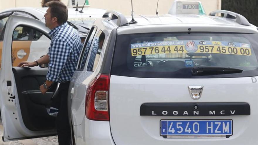 Los taxistas cordobeses ya llevan matrículas azules contra la piratería