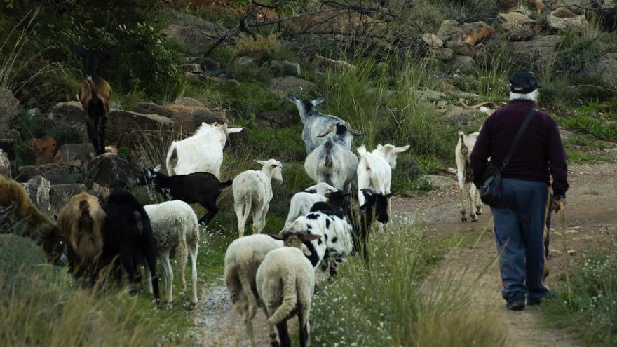 Historia de la Vall d&#039;Uixó en 4 kilómetros de camino