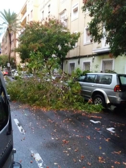 Una tromba de agua inunda Valencia