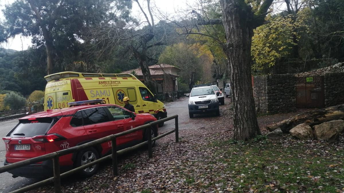 Muere un buscador de setas de 61 años en Lluc al resbalarse y golpearse en la cabeza con una piedra