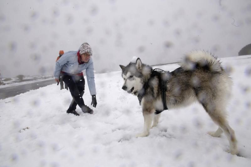 Visita al Teide nieve  | 06/12/2019 | Fotógrafo: Delia Padrón