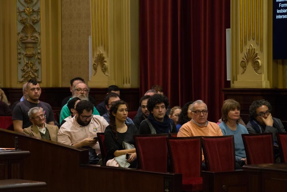 Pleno del Parlament