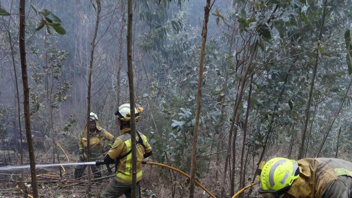 Bomberos forestales, en Cervo (Lugo).