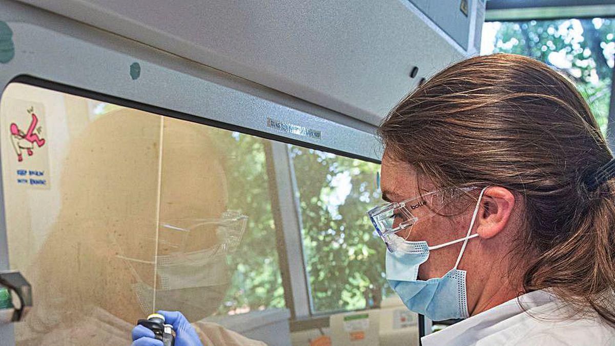 Pruebas de la vacuna en un laboratorio de Oxford.