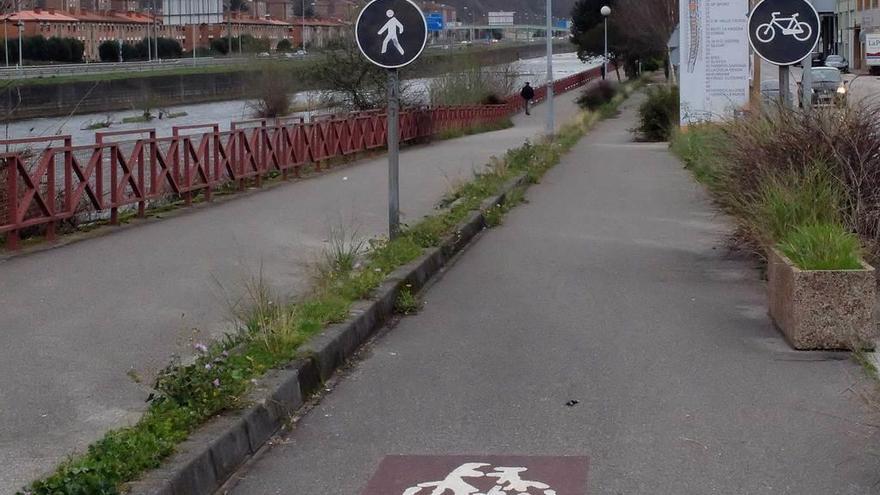 El paseo fluvial del río Caudal, donde se produjo el accidente.