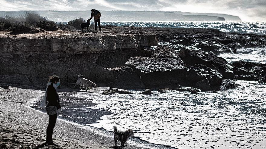 An einem Hundestrand in Palma.