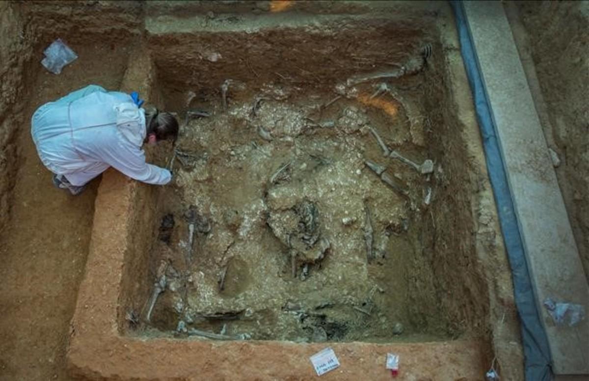 Restos de 60 fusilados de la represión franquista en una fosa común 113 del cementerio de Paterna (Valencia).