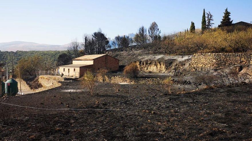 Campos muy próximos a viviendas de Añón de Moncayo, completamente calcinados.