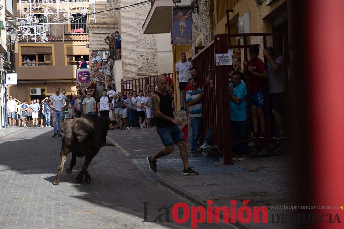 Séptimo encierro de las Fiestas de Moratalla