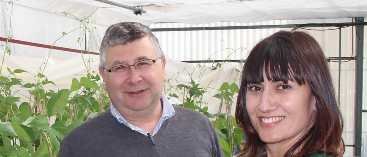 Juan José Ferreira y Ana Campa en los invernaderos del Serida en Villaviciosa.