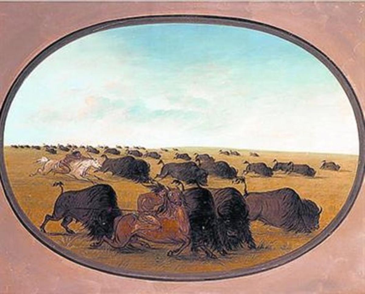 ’Buffalo chase, with accidents’, de George Catlin. ’Buffalo chase, with accidents’, de George Catlin.