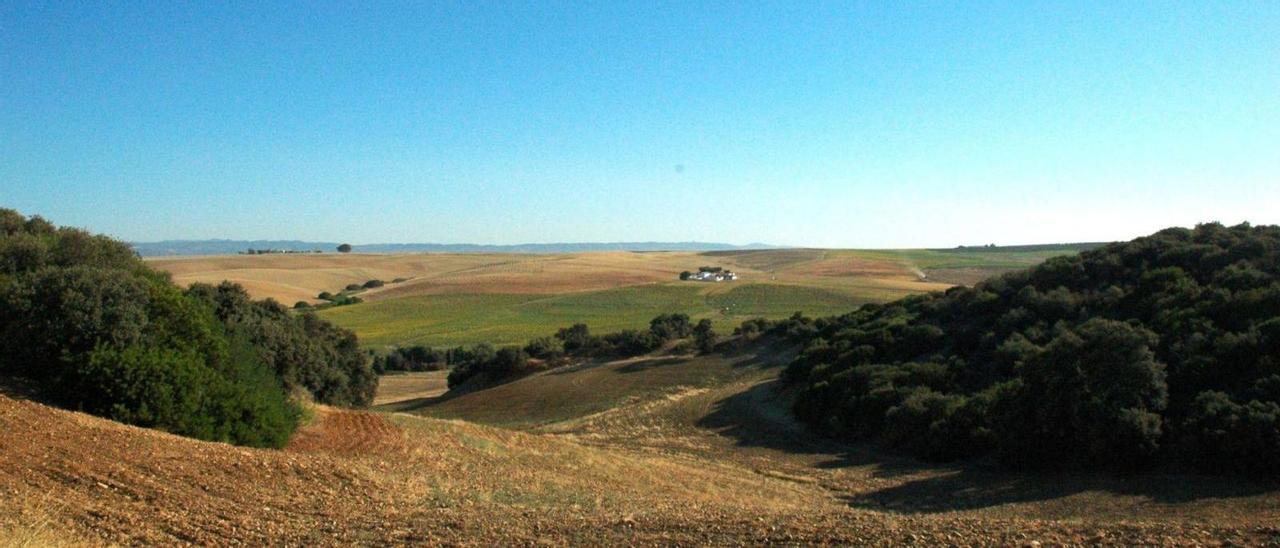 Vista del cerro Montoso La Orden, en el término municipal de Córdoba. | RAFAEL PULIDO JURADO