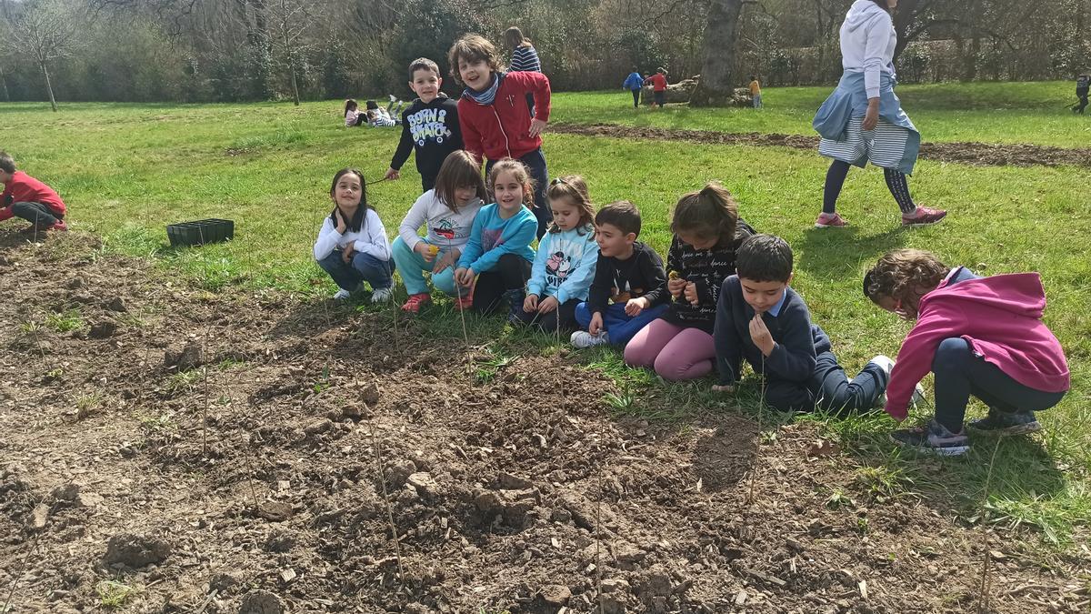 La plantación de robles en el parque periurbano de la Pola por parte de los alumnos de la Escuela Infantil Peña Careses