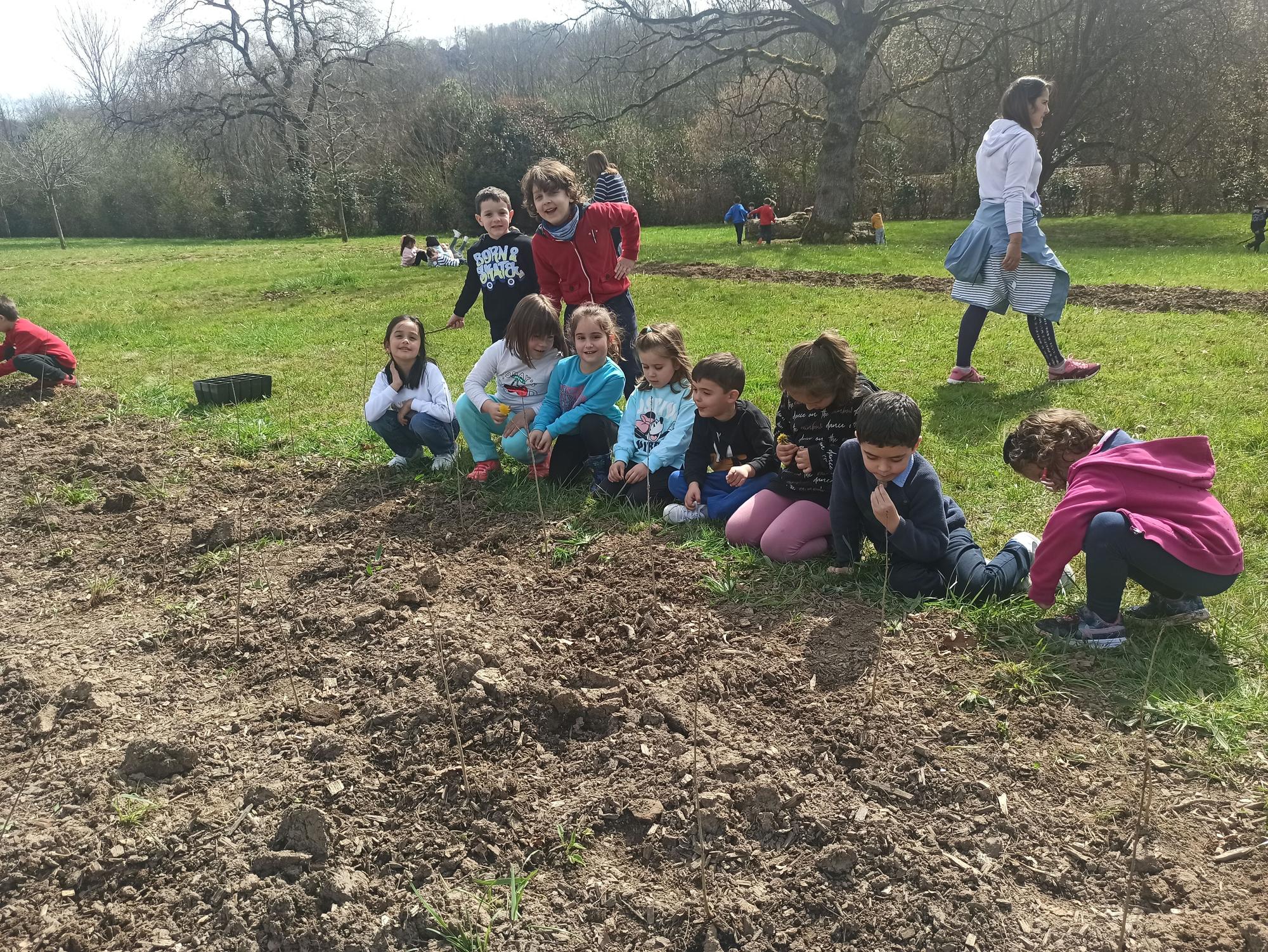 La plantación de robles en el parque periurbano de la Pola por parte de los alumnos de la Escuela Infantil