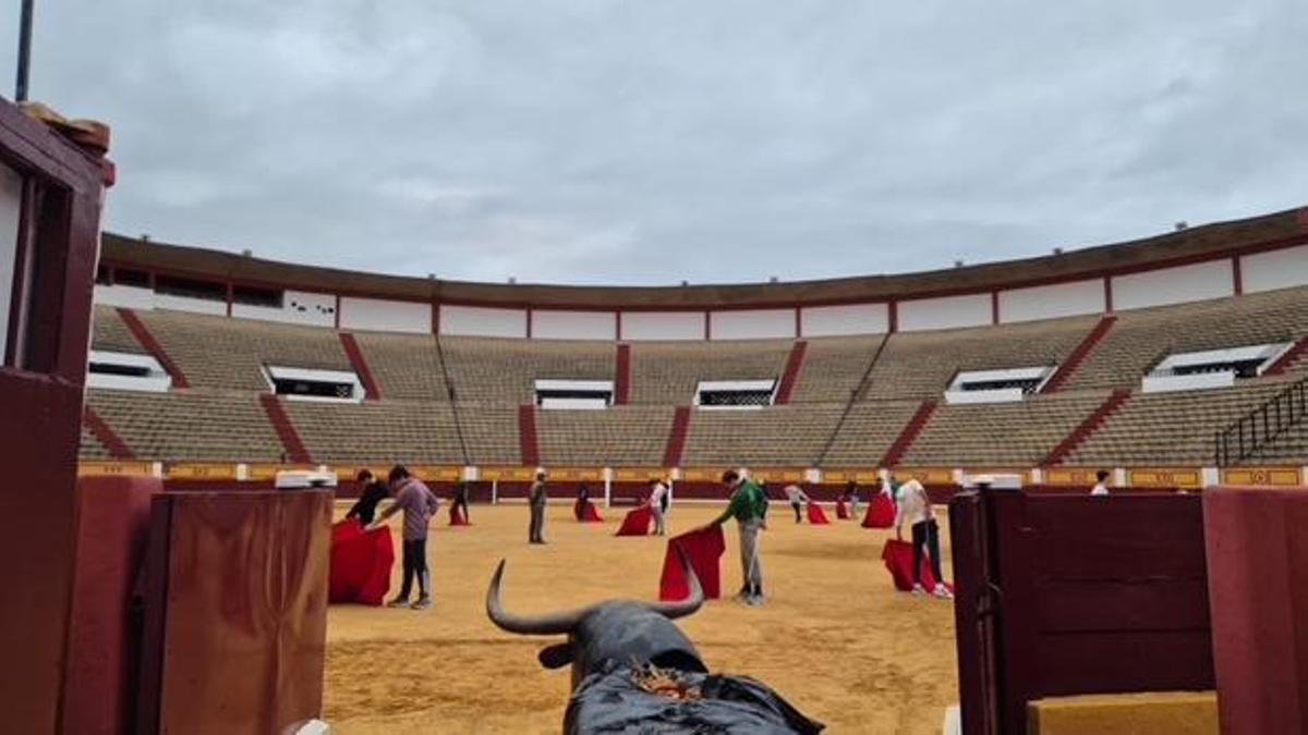 Nuevas ayudas al alojamiento para alumnos de la Escuela Taurina de Badajoz: hasta 450 € al mes