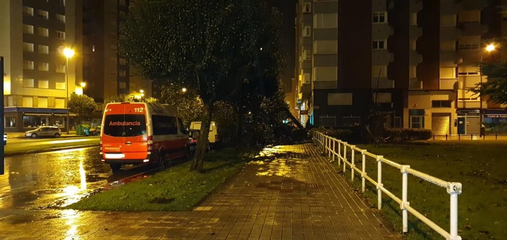 Daños por el temporal en Gijón.