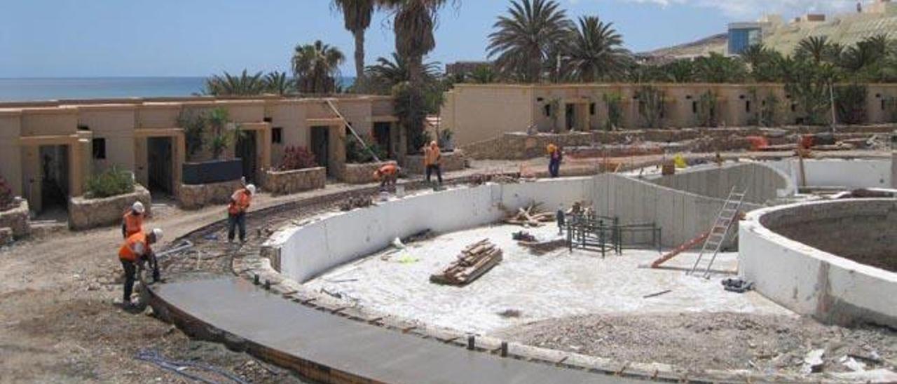 Un grupo de trabajadores realizando labores en la remodelación de la piscina del Mónica Beach.