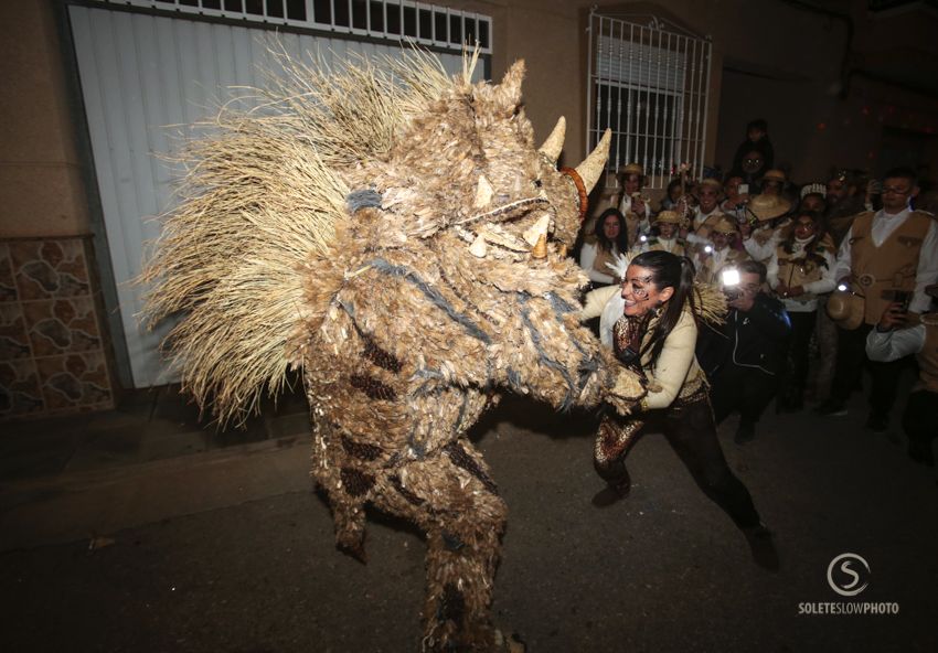 Suelta de la Mussona en el Carnaval de Águilas