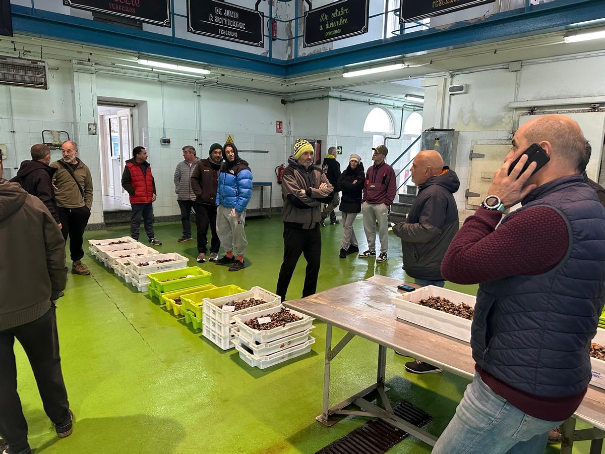Mariscadores y compradores en la lonja portovegense.