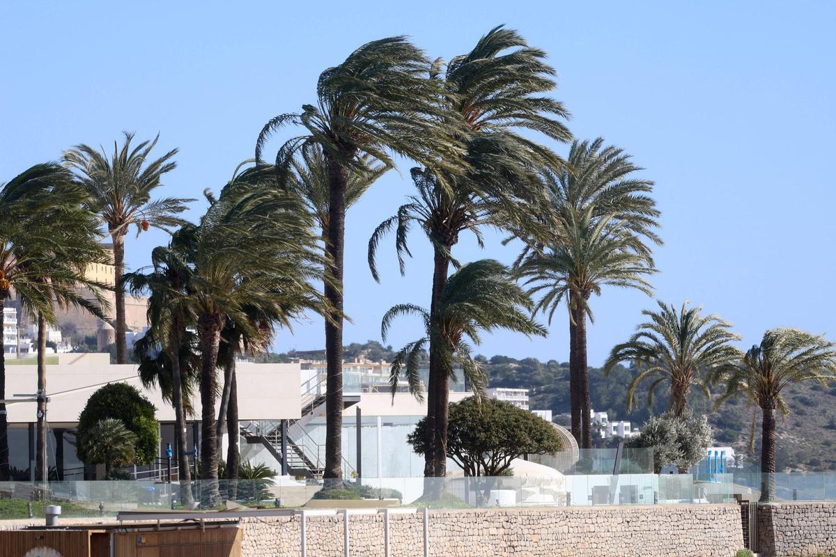 Temporal en Platja d'en Bossa.