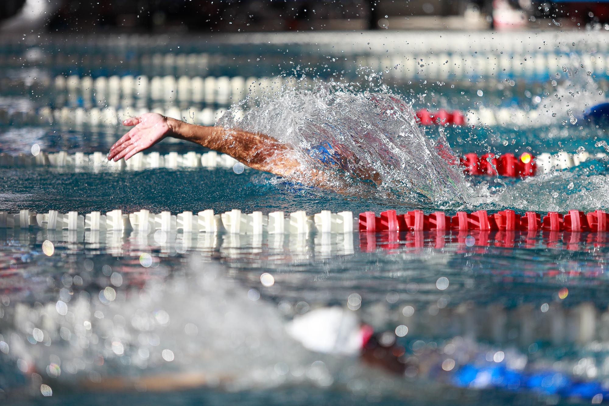 Campeonato de Baleares de invierno de Natación