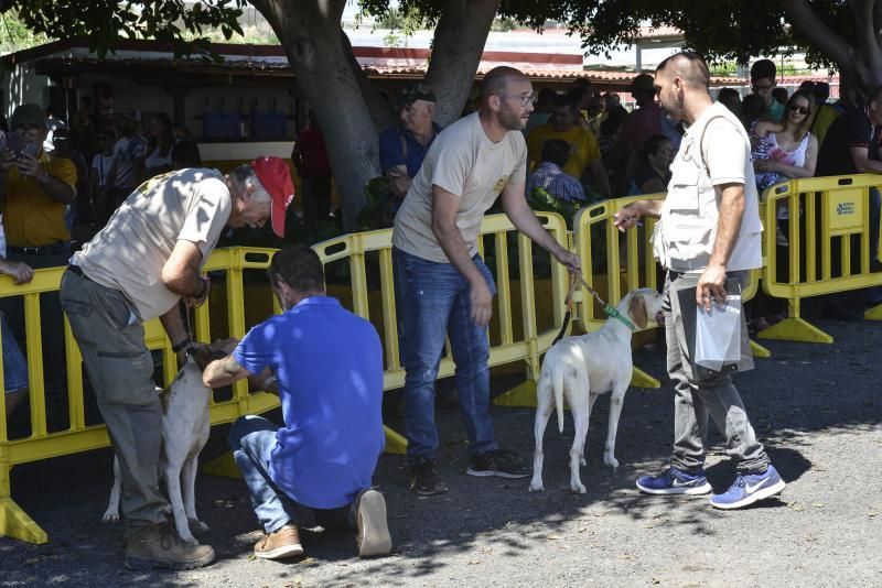 Feria Insular de Caza