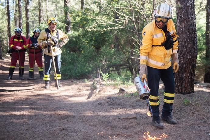 La UME realiza prácticas de prevención de incendios en Gran Canaria