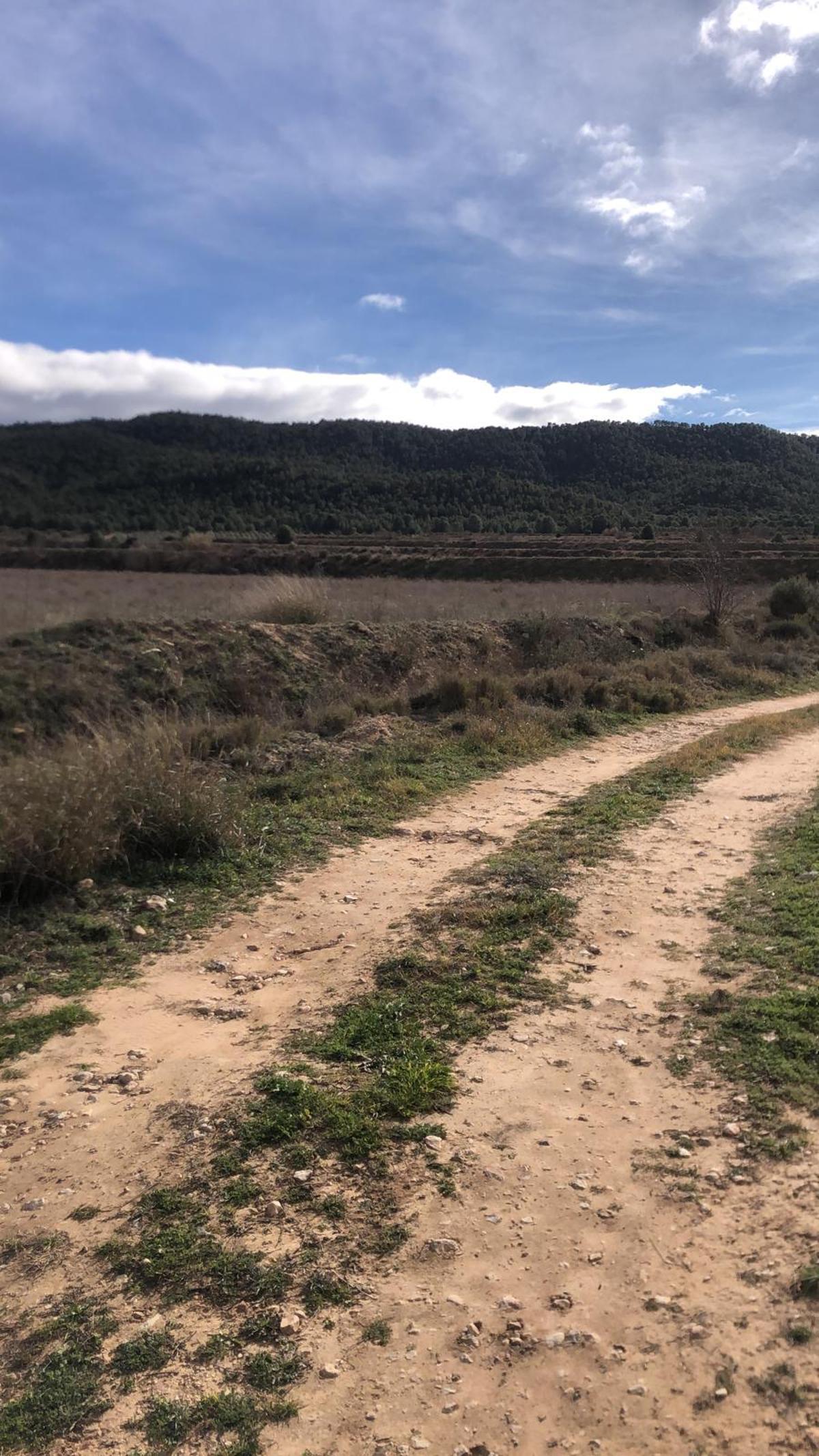 Terrenos de la finca Casa Peñas, en la carretera de Villena a Pinoso, donde se quieren instalar tres plantas solares.