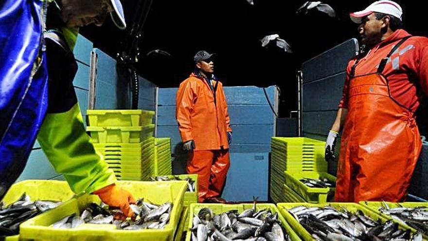 Pescadores durante la captura de jurel, una de las especies desplazadas por el calentamiento de las aguas.