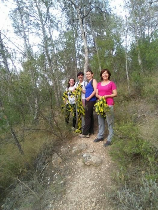 Carrera de Montaña en Pliego