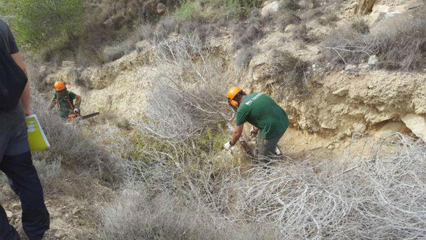 Los contratos van destinados a peones agrícolas