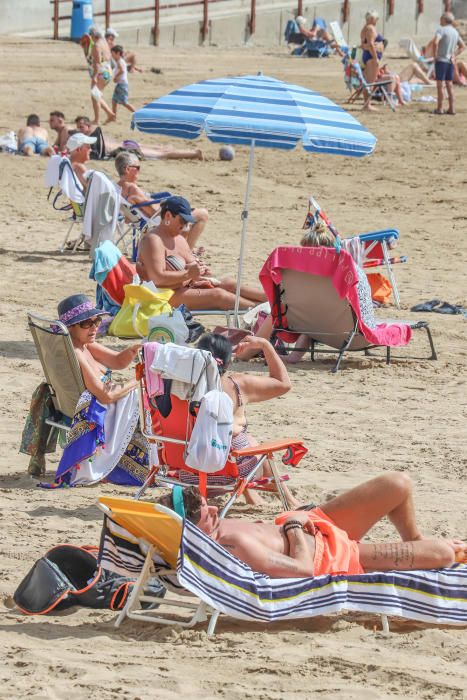 Imágenes de Torrevieja de este viernes 13 de marzo con terrazas y paseos llenos y playas animadas