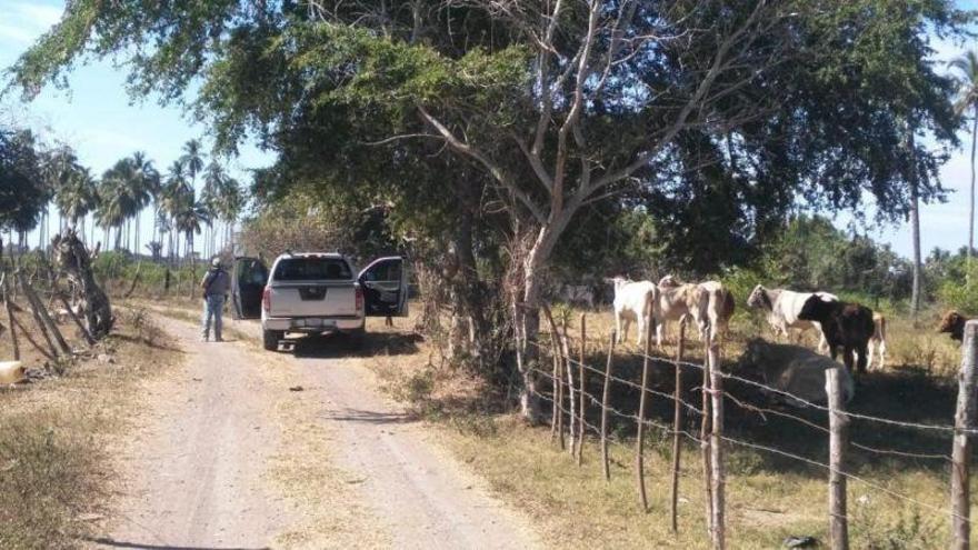 México: Autoridades descubren 69 cadáveres en 49 fosas clandestinas