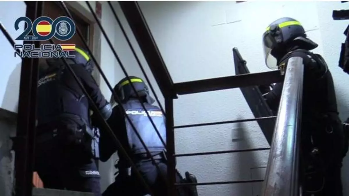 Madrid cierra 12 narcopisos en una gran redada: 31 detenidos, armas, 42.000 euros y hasta aves furtivas