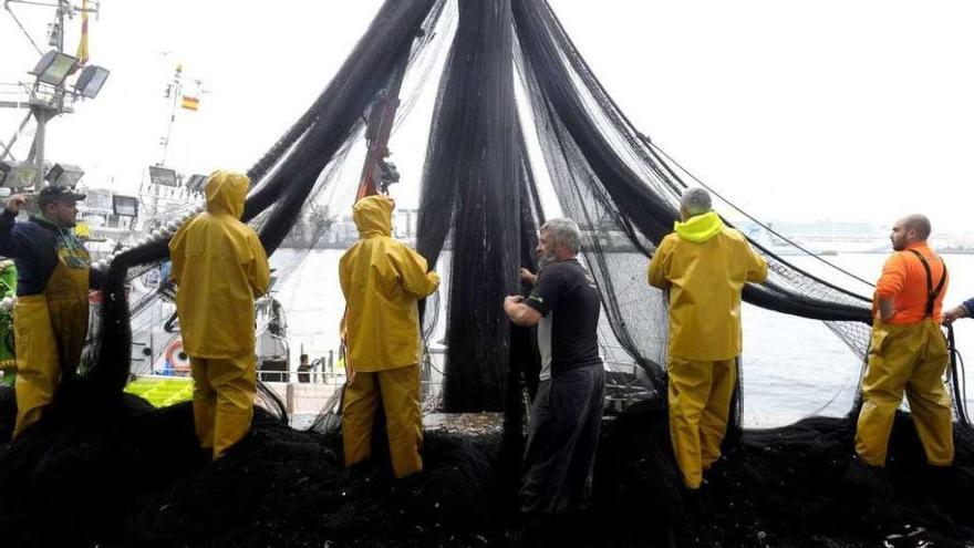 Un grupo de marineros prepara las redes en el puerto de A Coruña antes de salir a faenar.