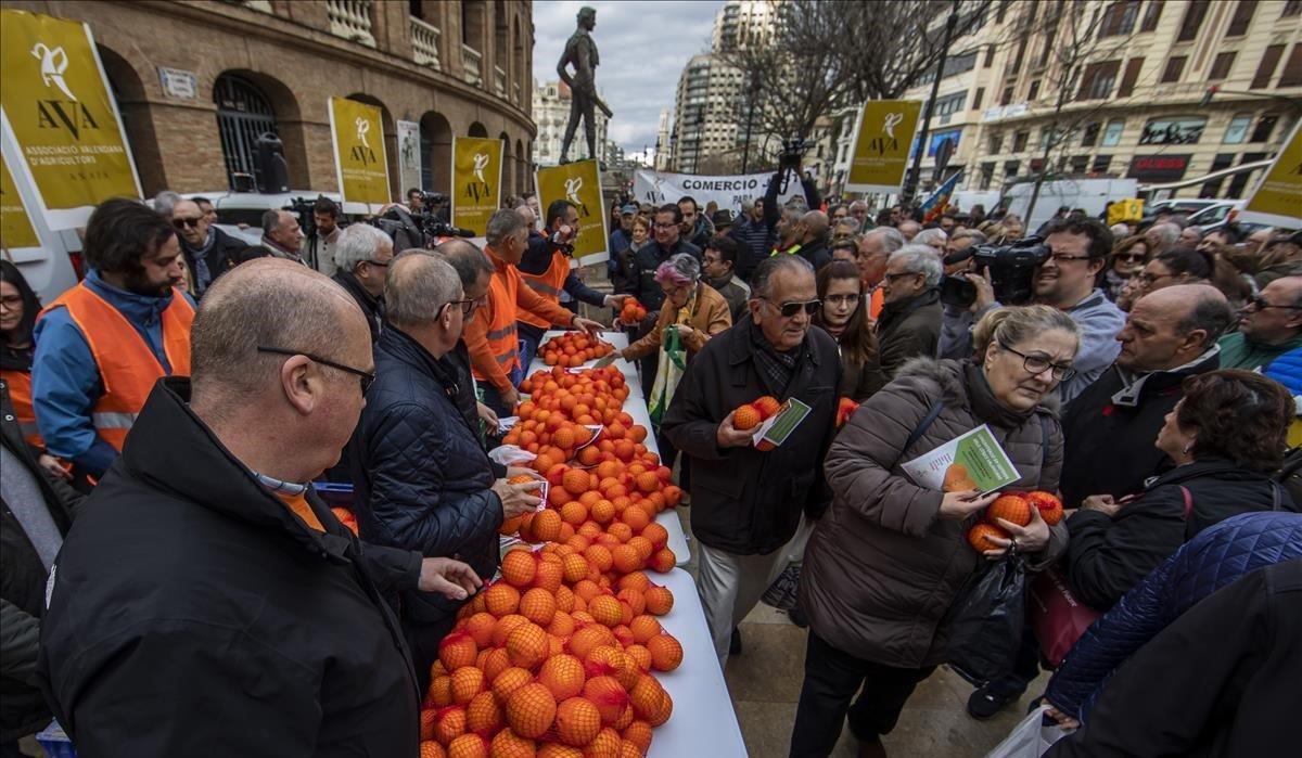 La Asociación Valenciana de Agricultores, AVA, reparte mas de 4000 kilos de naranjas para denunciar la crisis del sector y exigir soluciones urgentes.