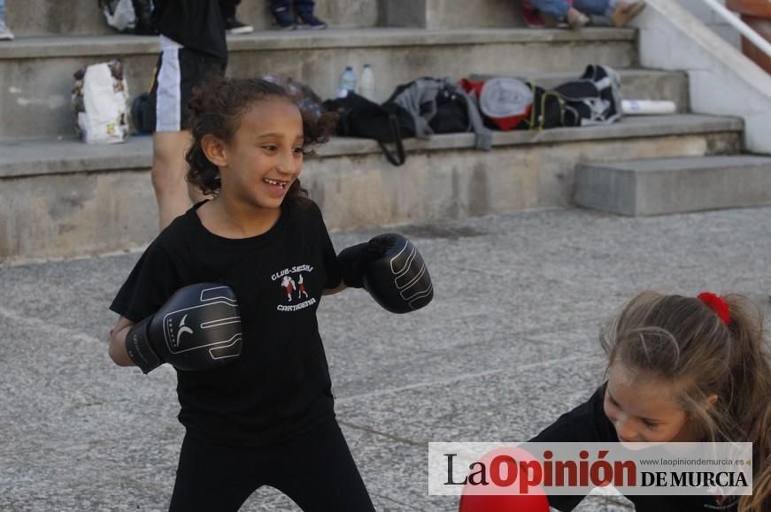 Fiesta del Deporte de Murcia (domingo)