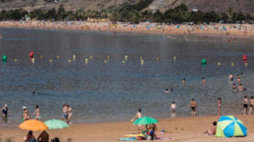 Los perros podrán bañarse en la playa de Las Teresitas a partir del próximo año